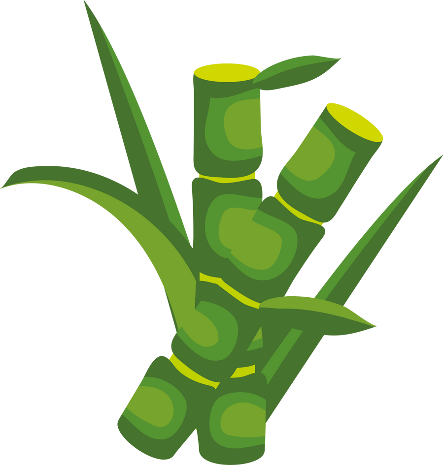 sugarcane and leaves